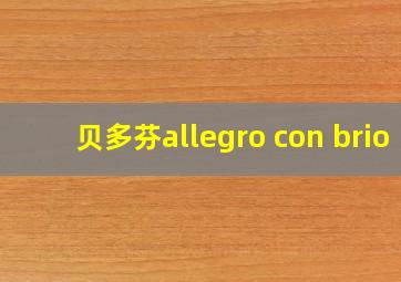 贝多芬allegro con brio